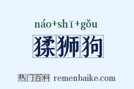 猱狮狗是什么意思的图片